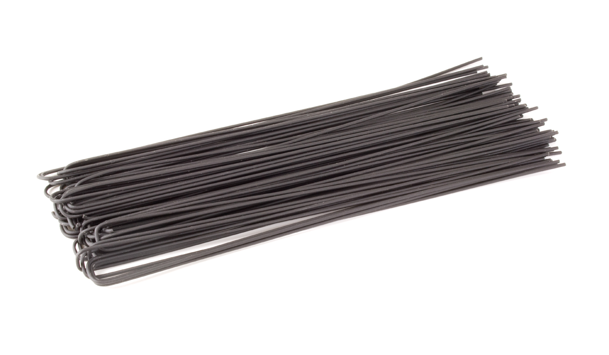 Squid Ink Spaghetti